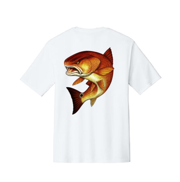 Sinister Redfish