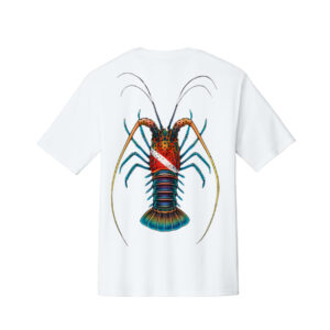 Diver Down Lobster
